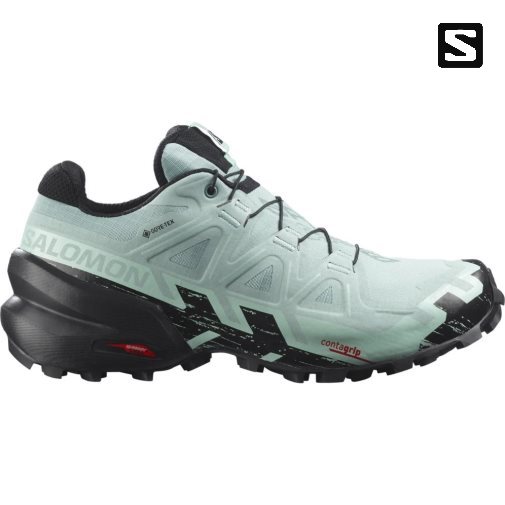 Salomon Speedcross 6 GTX Trailove Bezecke Tenisky Damske Mätové | SK 9LHVRW